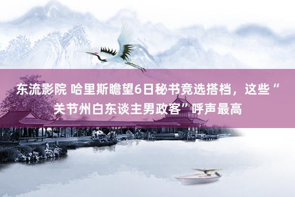 东流影院 哈里斯瞻望6日秘书竞选搭档，这些“关节州白东谈主男政客”呼声最高