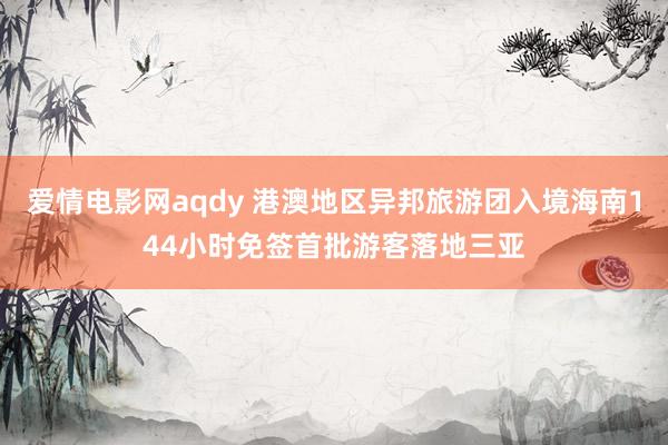 爱情电影网aqdy 港澳地区异邦旅游团入境海南144小时免签首批游客落地三亚