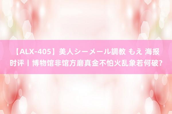 【ALX-405】美人シーメール調教 もえ 海报时评丨博物馆非馆方磨真金不怕火乱象若何破？