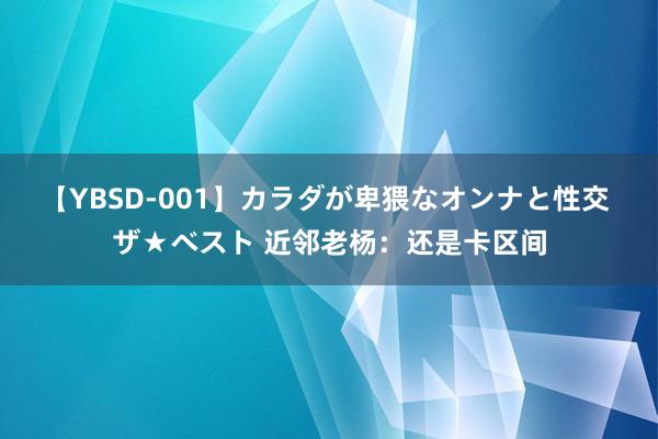 【YBSD-001】カラダが卑猥なオンナと性交 ザ★ベスト 近邻老杨：还是卡区间