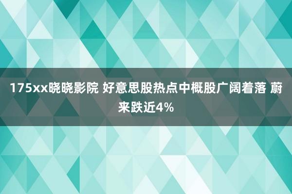 175xx晓晓影院 好意思股热点中概股广阔着落 蔚来跌近4%