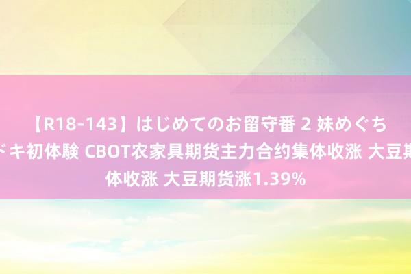 【R18-143】はじめてのお留守番 2 妹めぐちゃんのドキドキ初体験 CBOT农家具期货主力合约集体收涨 大豆期货涨1.39%