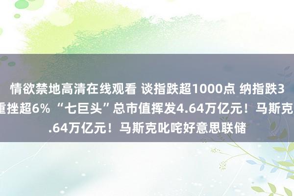 情欲禁地高清在线观看 谈指跌超1000点 纳指跌3.43%！英伟达重挫超6% “七巨头”总市值挥发4.64万亿元！马斯克叱咤好意思联储