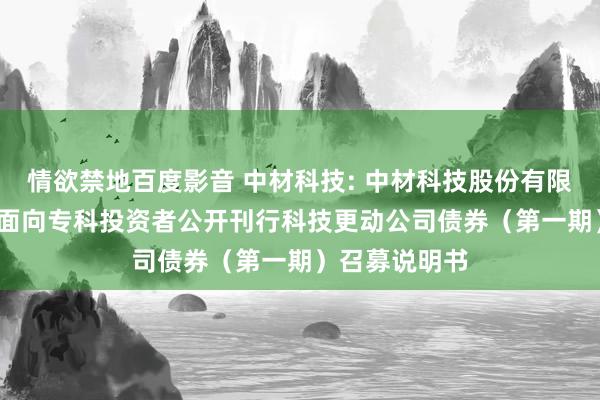 情欲禁地百度影音 中材科技: 中材科技股份有限公司2024年面向专科投资者公开刊行科技更动公司债券（第一期）召募说明书