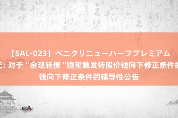 【SAL-023】ペニクリニューハーフプレミアム4時間 金当代: 对于“金现转债“瞻望触发转股价钱向下修正条件的辅导性公告