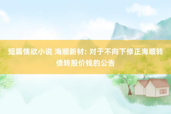 短篇情欲小说 海顺新材: 对于不向下修正海顺转债转股价钱的公告