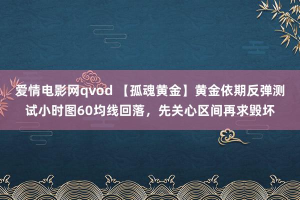 爱情电影网qvod 【孤魂黄金】黄金依期反弹测试小时图60均线回落，先关心区间再求毁坏