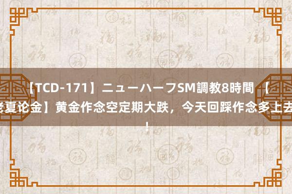 【TCD-171】ニューハーフSM調教8時間 【老夏论金】黄金作念空定期大跌，今天回踩作念多上去！