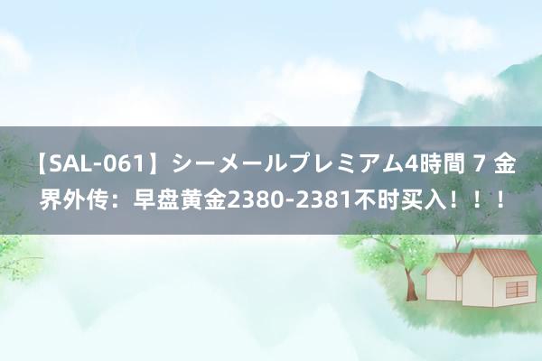 【SAL-061】シーメールプレミアム4時間 7 金界外传：早盘黄金2380-2381不时买入！！！