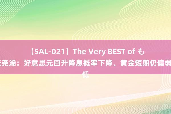 【SAL-021】The Very BEST of もえ 张尧浠：好意思元回升降息概率下降、黄金短期仍偏弱走低