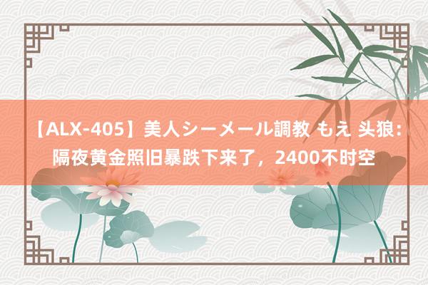 【ALX-405】美人シーメール調教 もえ 头狼：隔夜黄金照旧暴跌下来了，2400不时空