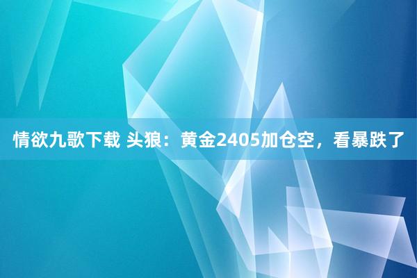 情欲九歌下载 头狼：黄金2405加仓空，看暴跌了