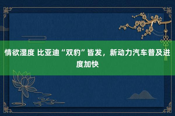 情欲湿度 比亚迪“双豹”皆发，新动力汽车普及进度加快