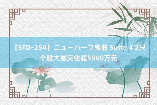 【STD-254】ニューハーフ組曲 Suite 4 2只个股大量交往超5000万元