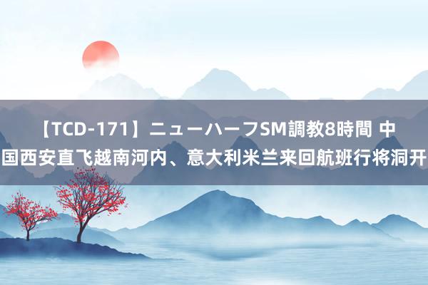 【TCD-171】ニューハーフSM調教8時間 中国西安直飞越南河内、意大利米兰来回航班行将洞开