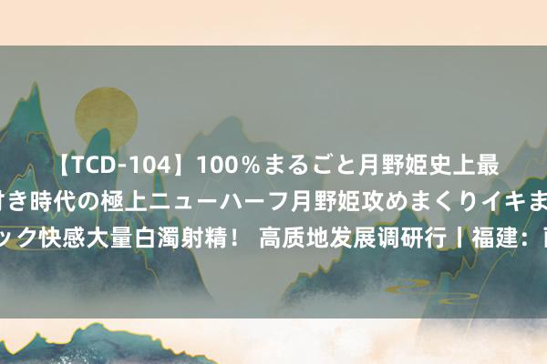 【TCD-104】100％まるごと月野姫史上最強ベスト！ 究極の玉竿付き時代の極上ニューハーフ月野姫攻めまくりイキまくりファック快感大量白濁射精！ 高质地发展调研行丨福建：画好山水画，探索“点绿成金”新旅途