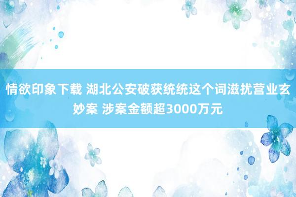 情欲印象下载 湖北公安破获统统这个词滋扰营业玄妙案 涉案金额超3000万元