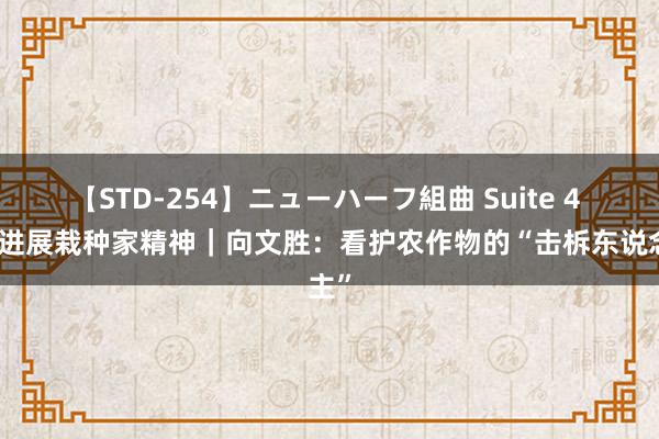 【STD-254】ニューハーフ組曲 Suite 4 即兴进展栽种家精神｜向文胜：看护农作物的“击柝东说念主”