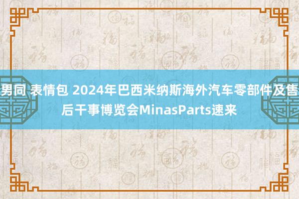 男同 表情包 2024年巴西米纳斯海外汽车零部件及售后干事博览会MinasParts速来