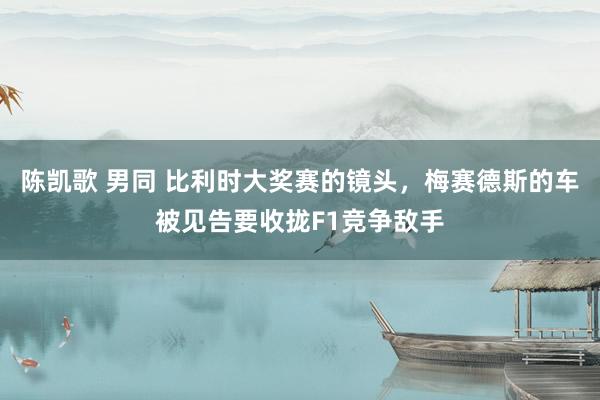 陈凯歌 男同 比利时大奖赛的镜头，梅赛德斯的车被见告要收拢F1竞争敌手