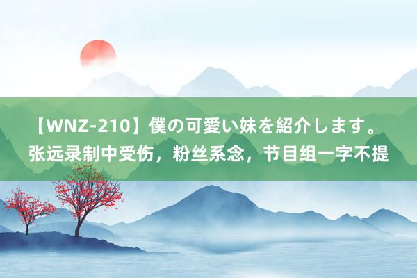 【WNZ-210】僕の可愛い妹を紹介します。 张远录制中受伤，粉丝系念，节目组一字不提