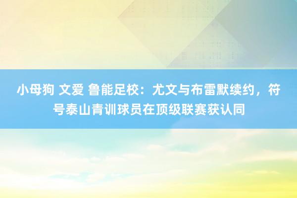 小母狗 文爱 鲁能足校：尤文与布雷默续约，符号泰山青训球员在顶级联赛获认同