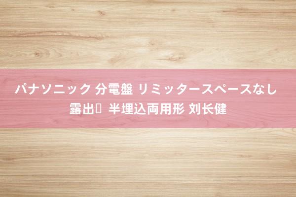 パナソニック 分電盤 リミッタースペースなし 露出・半埋込両用形 刘长健