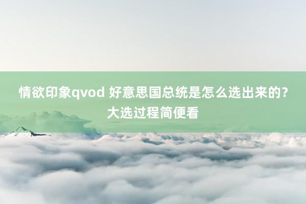 情欲印象qvod 好意思国总统是怎么选出来的？大选过程简便看